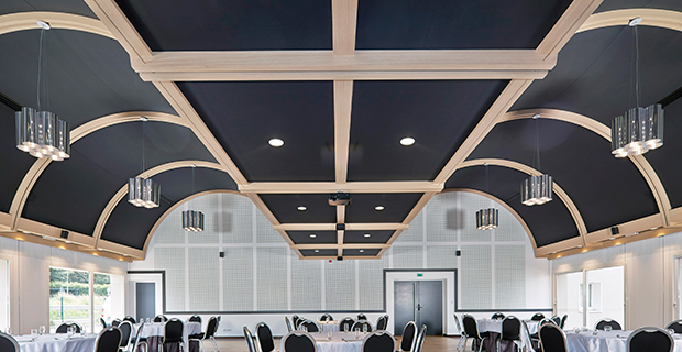 acoustic curved ceiling